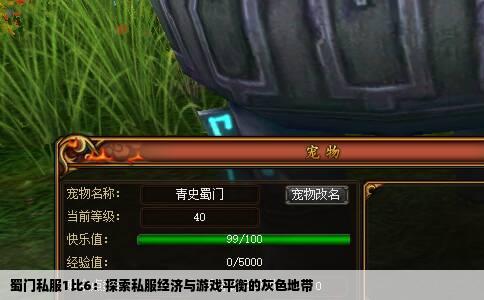 蜀门私服1比6：探索私服经济与游戏平衡的灰色地带
