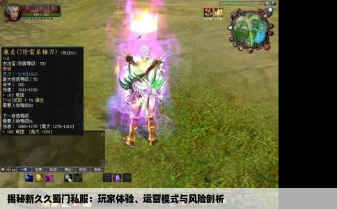 揭秘新久久蜀门私服：玩家体验、运营模式与风险剖析